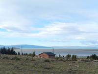 Patagonischien, Calafate