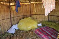 Bolivien - Titicacasee