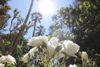 Vina del Mar & Valparaiso Stadtrundfahrt