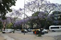 Buenos Aires - Stadtrundfahrt