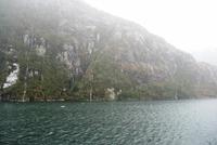 in den Fjorden Feuerlands