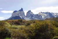 Cuernos del Paine