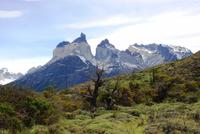 die Cuernos del Paine