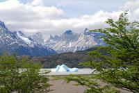 Eisberge im Grey-See