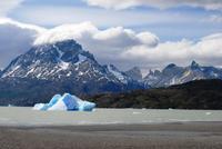 Eisberge im Grey-See