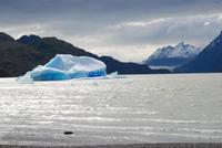 Eisberg im Grey-See