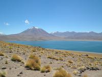 Lagunen Miscanti und Menique