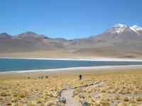 Lagunen Miscanti und Menique