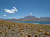 Lagunen Miscanti und Menique