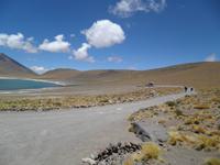 Lagunen Miscanti und Menique