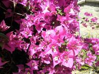 Isla Negra - Strandhaus Pablo Neruda