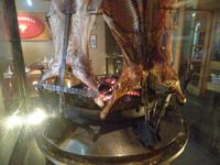 Asado - Lamm vom Grill