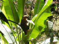 Rio de Janeiro - Kreuzfahrt Südamerika – Umrundung Kap Hoorn