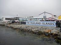 Falkland Inseln - Kreuzfahrt Südamerika – Umrundung Kap Hoorn