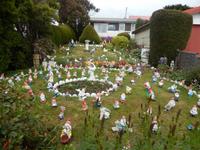 Falkland Inseln - Kreuzfahrt Südamerika – Umrundung Kap Hoorn