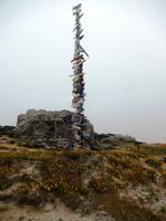 Falkland Inseln - Kreuzfahrt Südamerika – Umrundung Kap Hoorn