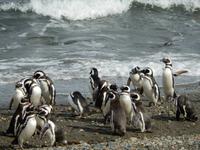 Feuerland - Kreuzfahrt Südamerika – Umrundung Kap Hoorn