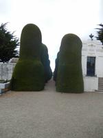 Punta Arenas - Chile - Kreuzfahrt Südamerika – Umrundung Kap Hoorn