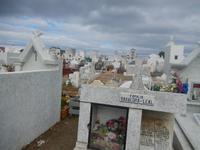 Punta Arenas - Chile - Kreuzfahrt Südamerika – Umrundung Kap Hoorn