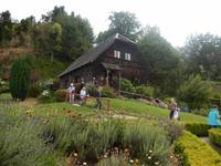 Frutillar - Vulkan Osorno - Chile - Kreuzfahrt Südamerika – Umrundung Kap Hoorn