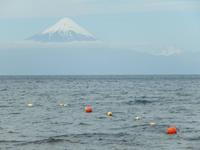 Frutillar - Vulkan Osorno - Chile - Kreuzfahrt Südamerika – Umrundung Kap Hoorn