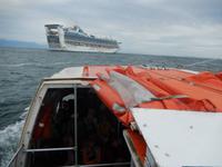 Kreuzfahrt Südamerika – Umrundung Kap Hoorn - Princess Cruises