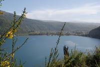 Blick auf den Lacar-See und San Martin de los Andes