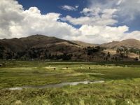 Altiplano 