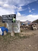 Altiplano