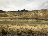 Altiplano