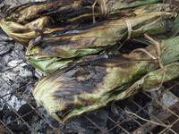 Amazonas-Regenwald: Fisch im Blattmantel