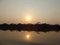 Amazonas-Regenwald