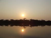Amazonas-Regenwald