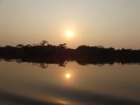 Amazonas-Regenwald