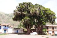 Andahuaylillas (2)