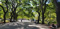 Argentinien - Buenos Aires - Altstadt