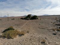 Atacama Wüste