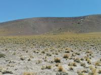 Atacama Wüste