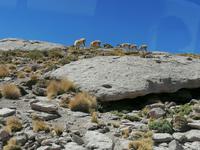 Atacama Wüste