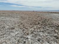 Atacama Wüste