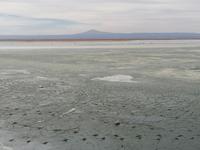 Atacama Wüste