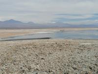 Atacama Wüste