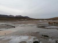 Atacama Wüste