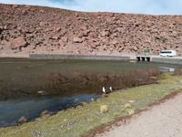 Atacama Wüste