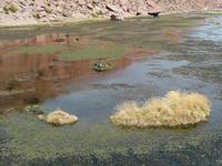 Atacama Wüste