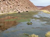 Atacama Wüste