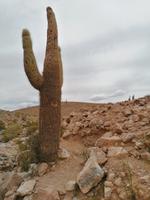 Atacama Wüste