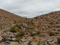 Atacama Wüste