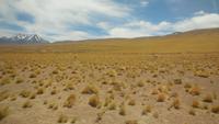 Atacama-Wüste