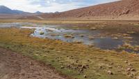 Atacama-Wüste